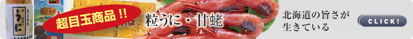 貝・旬の魚