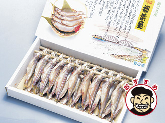 鵡川産 ししゃも